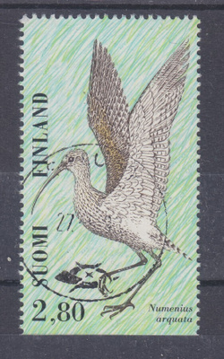 1997 Kahlaajalintu kaunisleimaisena.