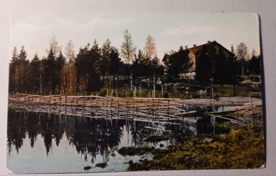 Tyrvää, Ille (Illo), vanha väripk, p. 1913