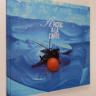 Manne Stenros : Arctic a la carte - pikkukuva 1