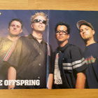 The Offspring juliste ja Noodles juliste - pikkukuva 1