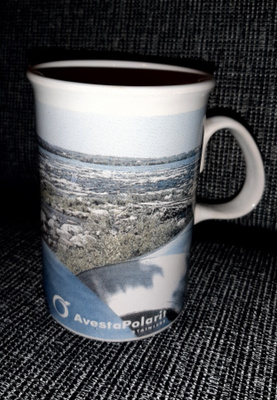 Avesta polarit muki