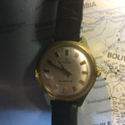 Kultableiti runkoinen Timex - pikkukuva 1