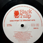 Gene Pitney – 20 Greatest Hits - pikkukuva 3