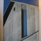 Puu lehti 2007 vuosikerta, 4 kappaletta lehtiä - pikkukuva 4