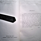 Mellin G.H.: Paavo Nissinen, v. 1897 - pikkukuva 4