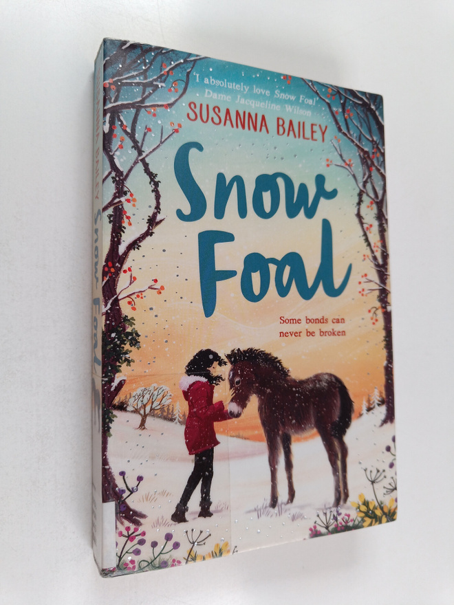 Susanna Bailey : Snow foal