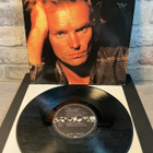 STING: Nada Como El Sol 10” lp levy - pikkukuva 2