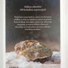 Maija Silvennoinen : Osterikirja - pikkukuva 2
