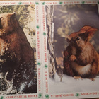Joulukorttl wwf - pikkukuva 3