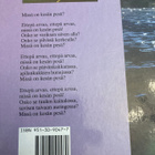 MATTI A. PITKÄNEN - HUOVINEN: MISSÄ ON KESÄN PESÄ? - pikkukuva 4