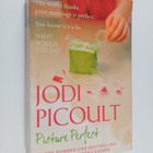 Jodi Picoult : Picture Perfect - pikkukuva 1