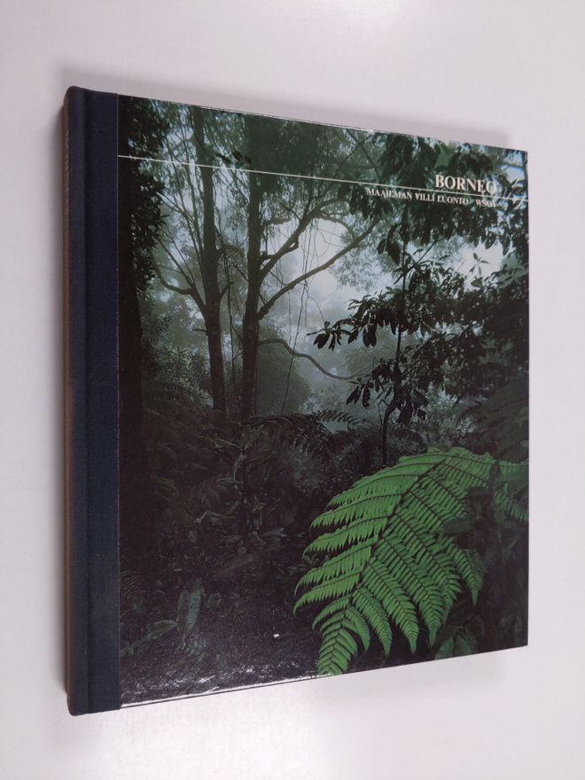 John MacKinnon : Borneo