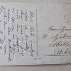Lapsi saa kana- ja tipuseuraa vuoteeseen, p. 1900-l. alku - pikkukuva 2