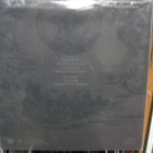 EARTHRIDE - TAMING OF DEMONS 1ST 2008 KUVA VINYYLI UUSI LP - pikkukuva 2