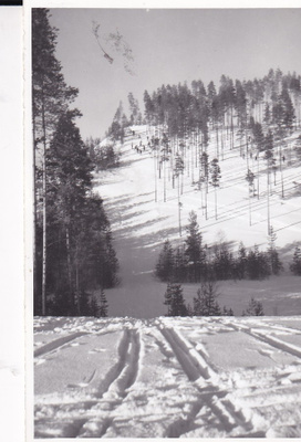 Sotkamo. Vuokatti, U. Lappi   .   b642