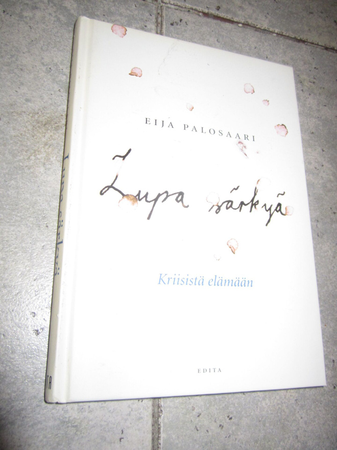 Eija Palosaari : Lupa särkyä : kriisistä elämään
