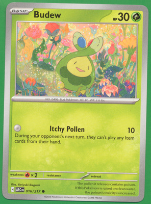 Pokémon Budew (ASC 016)