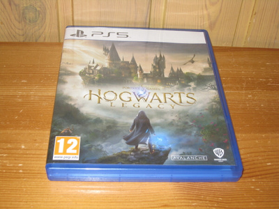 Hogwarts Legacy Ps5