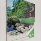 Suomen postimerkit ja postimerkkivihkot 2009 - pikkukuva 1