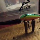 Rapala Ireland 4cm uppoava Vaappu firetiger - pikkukuva 2