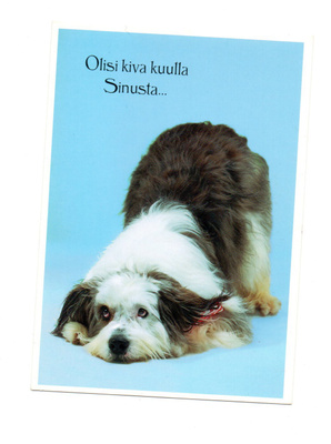 °"KOIRA...Olisi kiva kuulla Sinusta.."° -KORTTI /Paletti