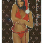 Bench Warmer 2003 Holiday Chrome Cards Amber Goetz - pikkukuva 1