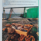 Internationella rätter med svensk fisk - pikkukuva 2