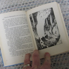MUUMIPEIKKO JA PYRSTÖTÄHTI ( kovak v 1973 ) - pikkukuva 4
