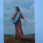 Keräilykortit: 3 kpl Jeesus kaitsee, kylvää . Koko 5x8,8cm - pikkukuva 4