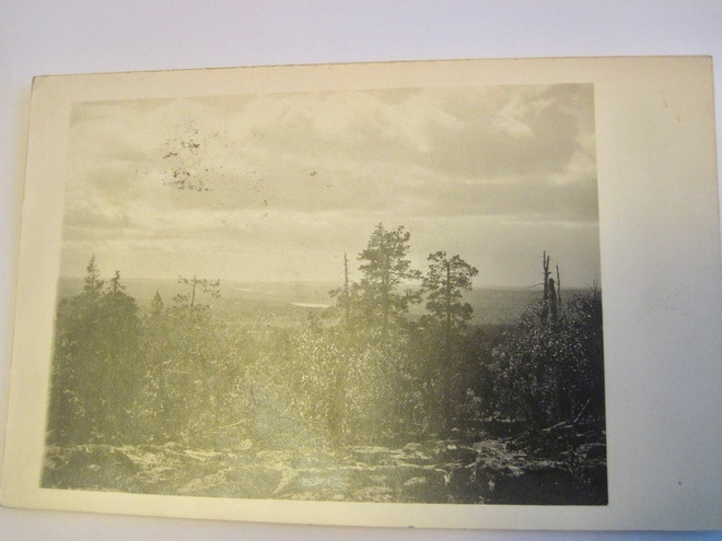 VANHA Postikortti Förby Särkisalo Salo 1914