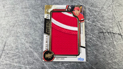 Dylan Larkin 2018-19 Premier Mega Patch /21