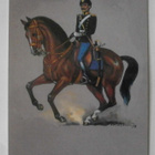 Suomen rakuunarykmentti 1889 - 1901, väripk, ei kulk. - pikkukuva 1