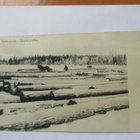 Suomussalmi Tukinajossa - 1913 - pikkukuva 1