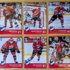 2024-25 Blueline Series 1 HIFK Team Set 12 korttia (1-12) - pikkukuva 2