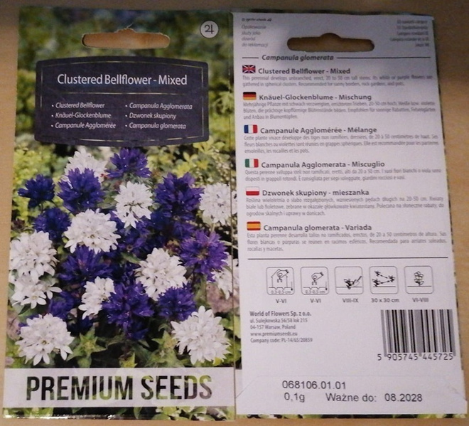 Peurankello "Clustered bellflower - mixed" - siemenet #