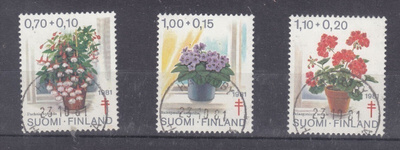 1981 TUB loistoleimoin