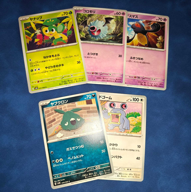 Pokémon Ancient Roar 7