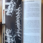 SAVONLINNAN OOPPERAJUHLAT 1981 OHJELMA - pikkukuva 4