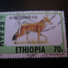 Etiopia: Simien kettu - pikkukuva 3