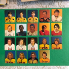 Williams 1972-1973 kiekkokortit. 43kpl. - pikkukuva 2