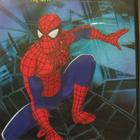 SPIDER-MAN DVD KAUSI 1 - pikkukuva 1