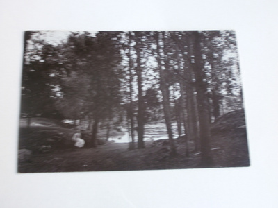 Äiti ja tytär synkässä metsässä, vanha mv kortti, p. 1907