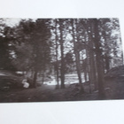 Äiti ja tytär synkässä metsässä, vanha mv kortti, p. 1907 - pikkukuva 1