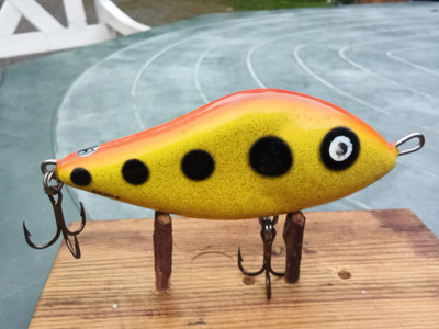 Salmo Slider 10 Floating