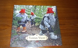 Tontun vuosi - Kirsti Manninen, Aki Paavola