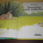 Bambin ensi askeleet Walt Disney - pikkukuva 2