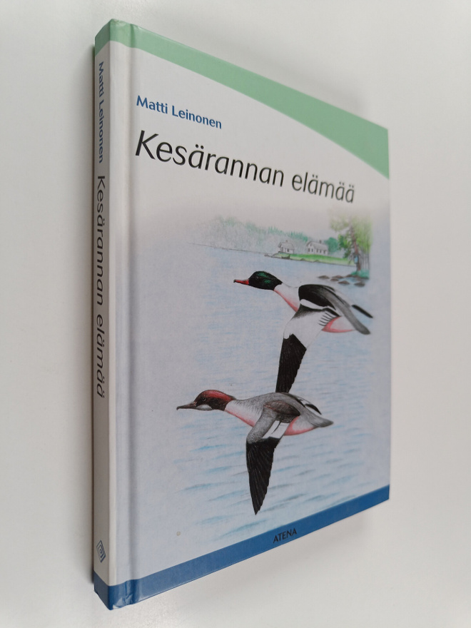 Aino Ukkala : Kesärannan elämää