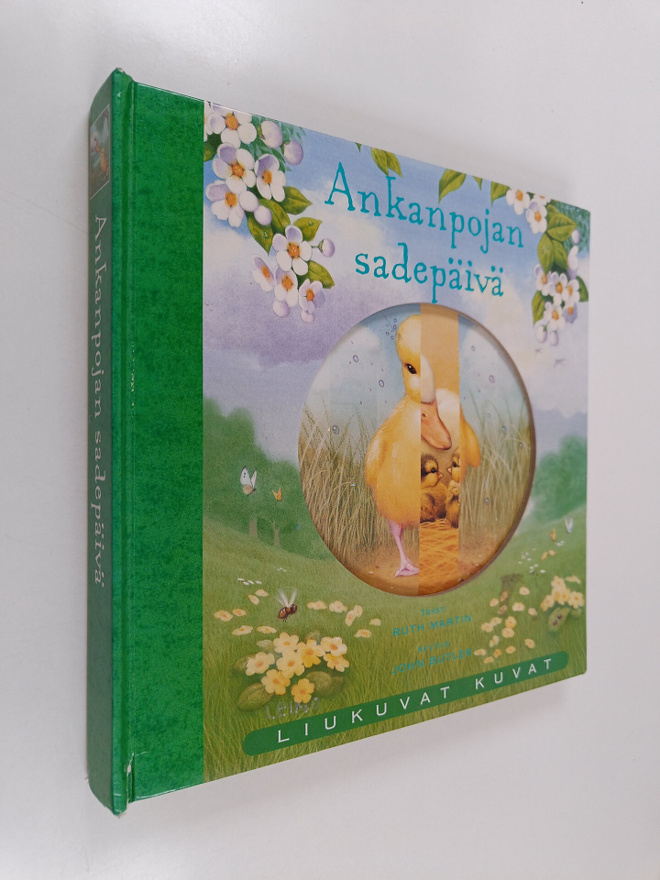 Ruth Martin : Ankanpojan sadepäivä