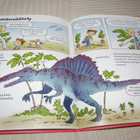 Ardagh - Gordon Dinosaurukset - pikkukuva 4