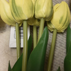 Keltaisia tulppaaneja muovia - pikkukuva 2